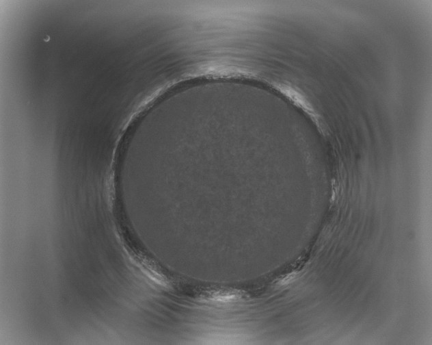 X0000072960488200607282300