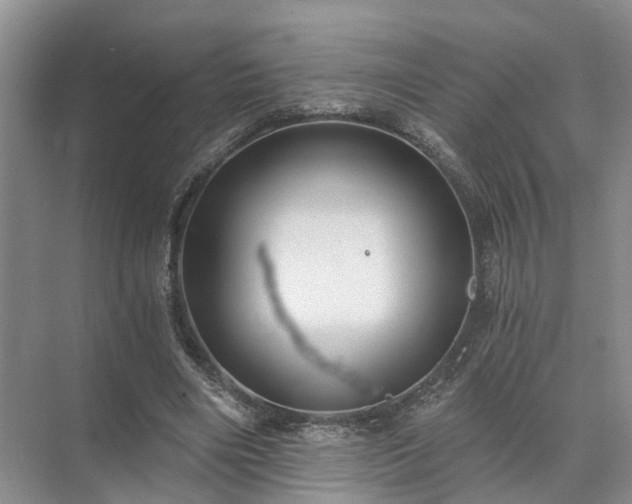 X0000072960490200607282300