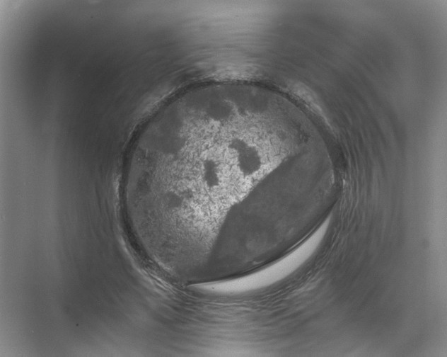 X0000072960491200607282300