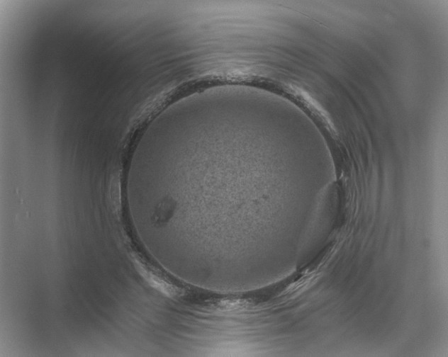 X0000072960493200607282300