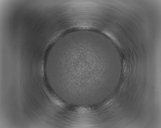 X0000072960494200607282259