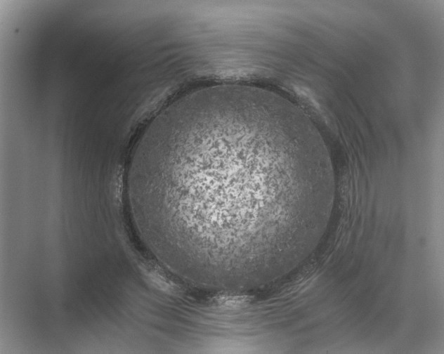 X0000072960495200607282259