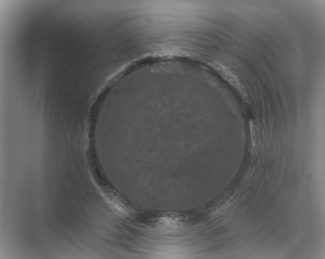 X0000072960496200607282259