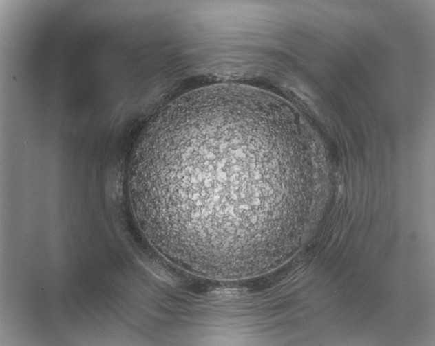 X0000072960499200607282259