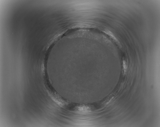 X0000072960500200607282259