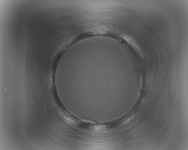 X0000072960501200607282259