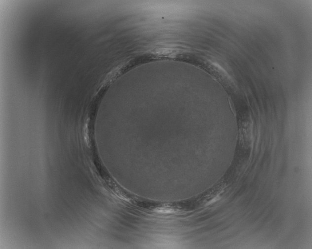 X0000072960504200607282259