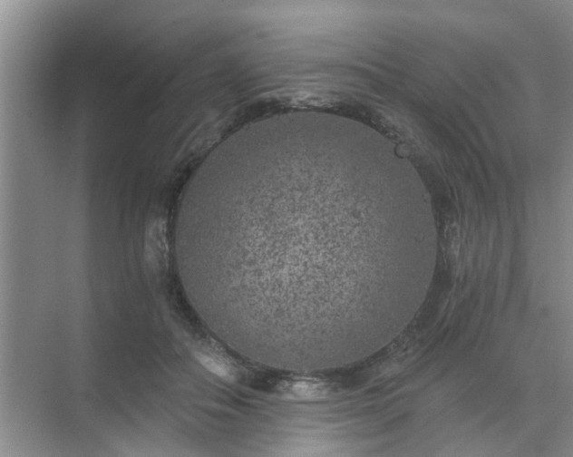 X0000072960506200607282259