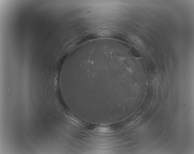 X0000072960507200607282259