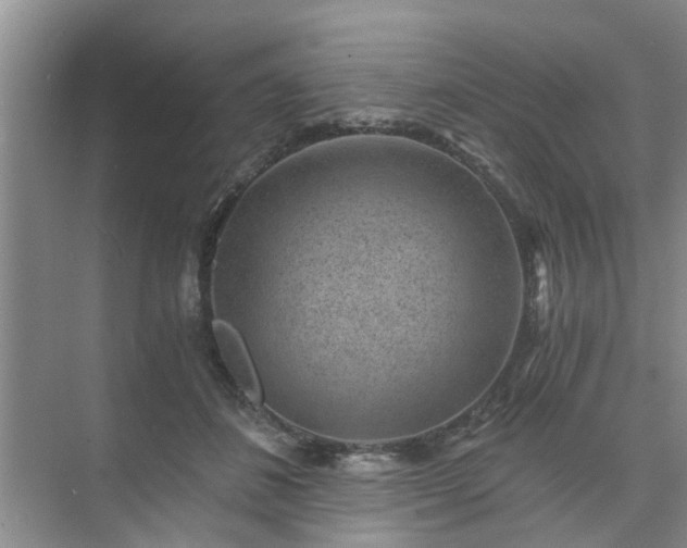 X0000072960508200607282259