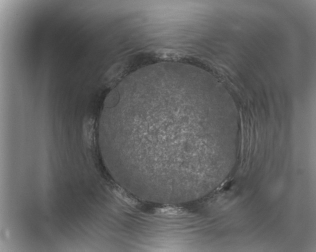 X0000072960511200607282259