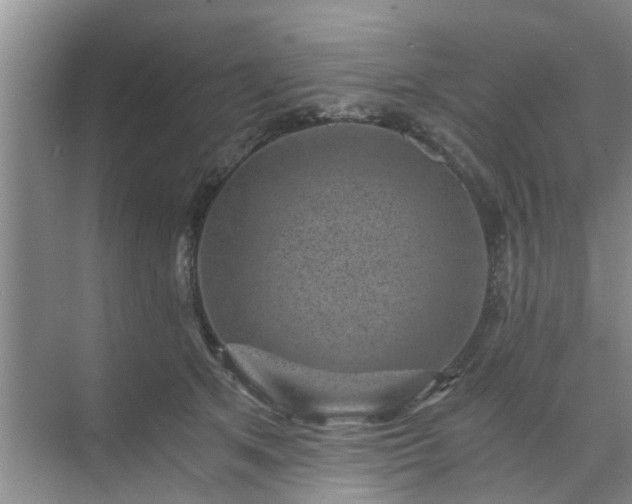 X0000072960513200607282259