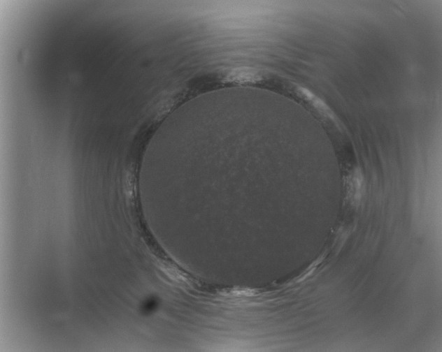 X0000072960517200607282259