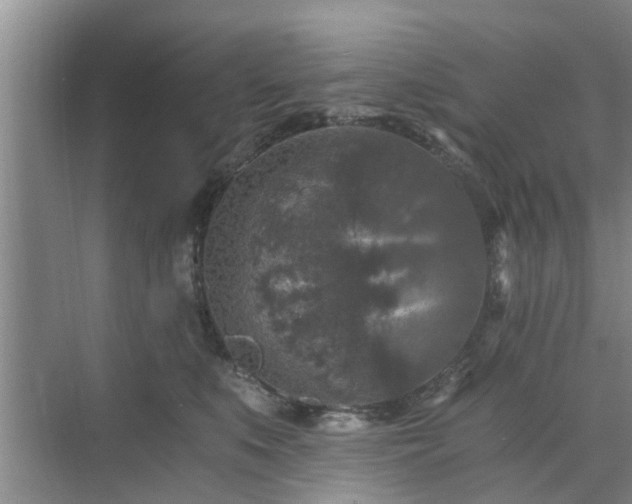 X0000072960519200607282259