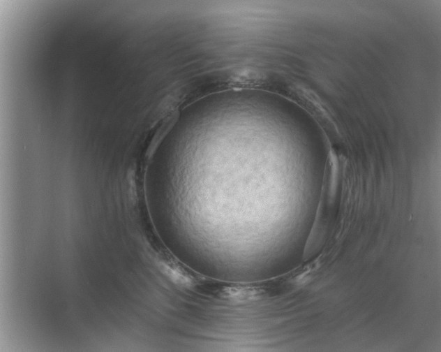 X0000072960520200607282259