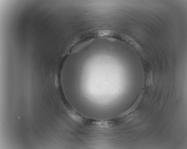 X0000072960524200607282259