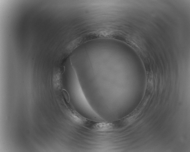 X0000072960526200607282259