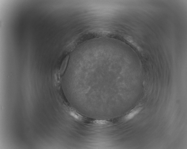 X0000072960528200607282259