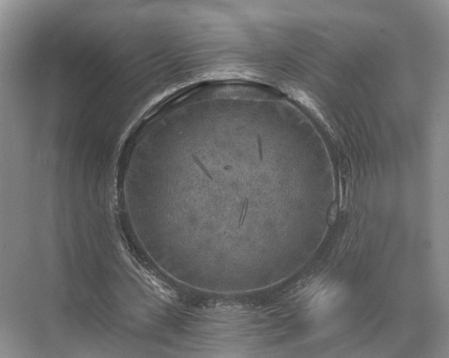 X0000072960531200607282258