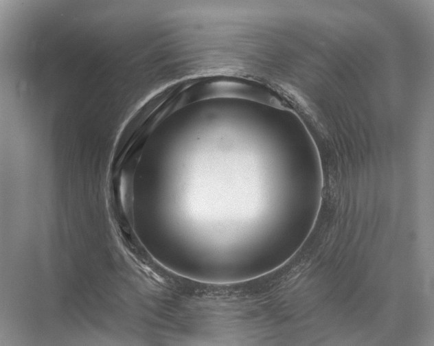 X0000072960532200607282258