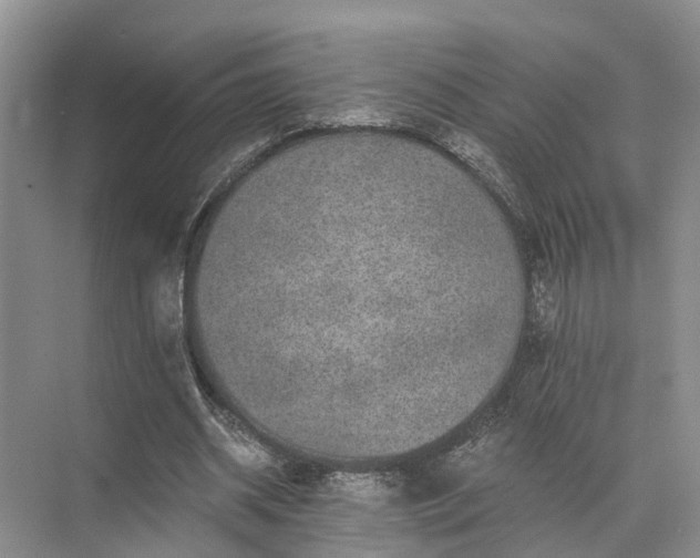 X0000072960534200607282258