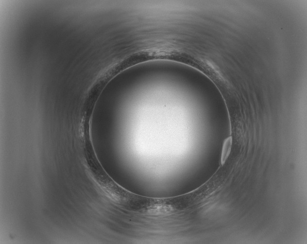 X0000072960543200607282258