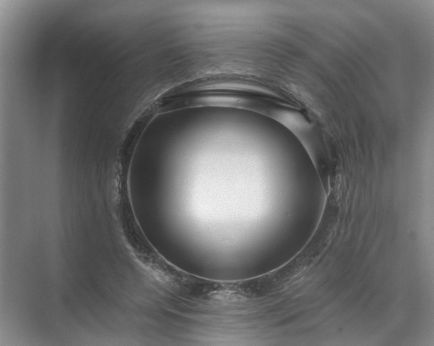 X0000072960544200607282258