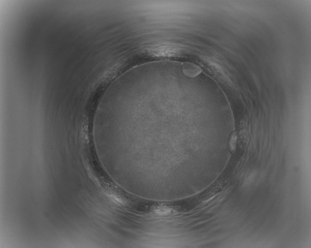 X0000072960547200607282258