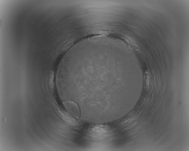 X0000072960550200607282258