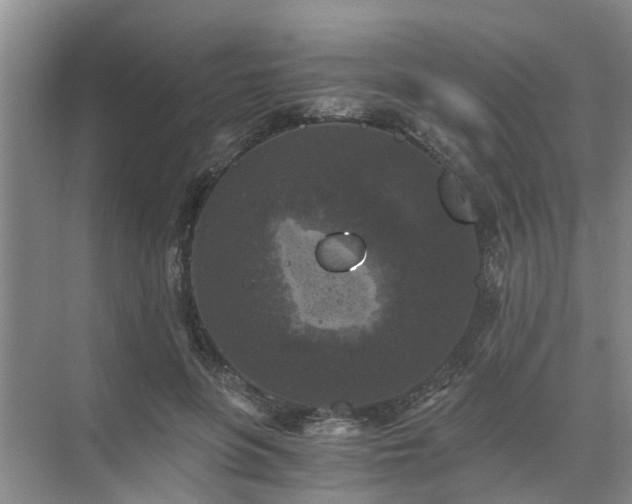 X0000072960551200607282258