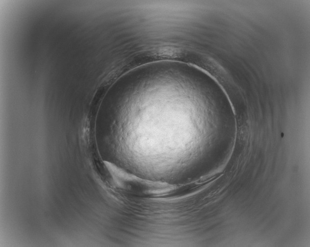 X0000072960552200607282258