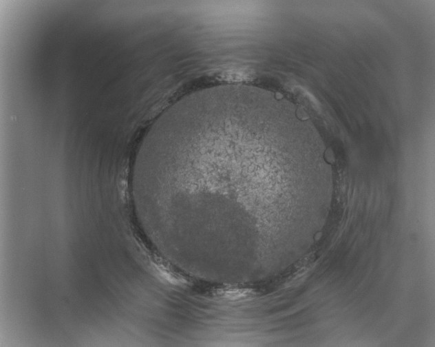 X0000072960553200607282259