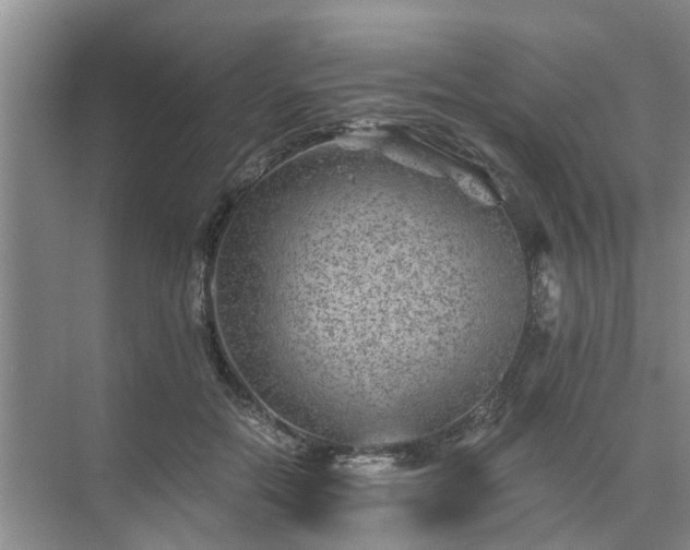 X0000072960554200607282259