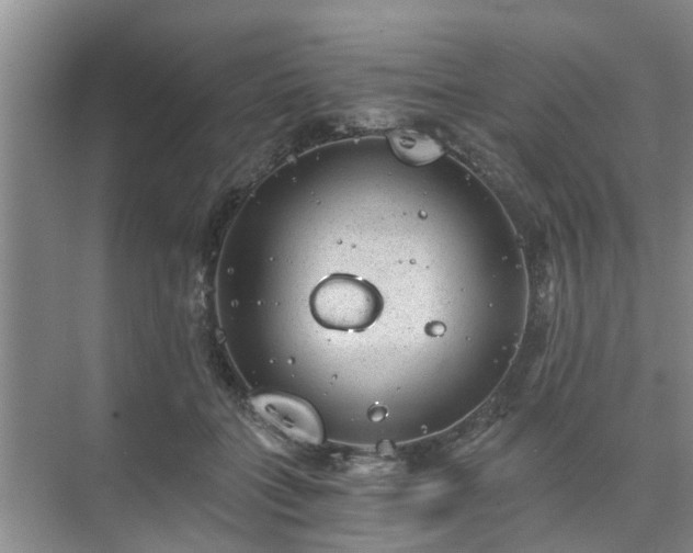 X0000072960555200607282259