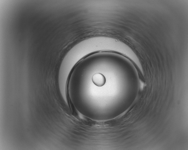 X0000072960556200607282259