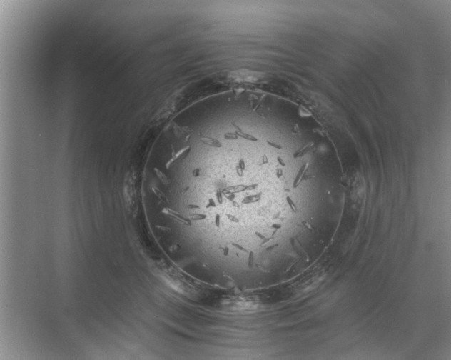 X0000072960559200607282259