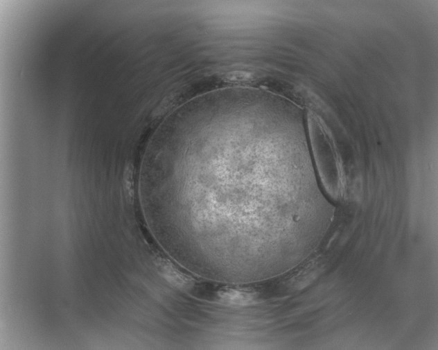 X0000072960561200607282259