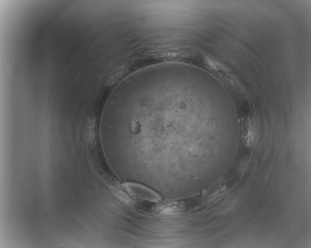 X0000072960563200607282259