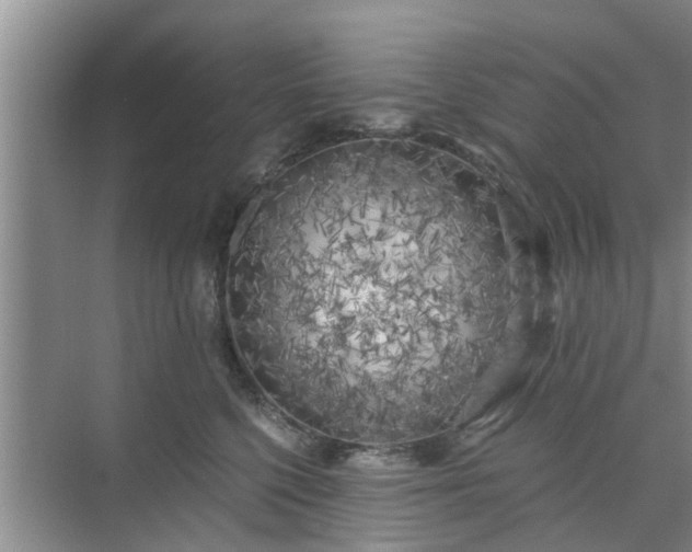 X0000072960568200607282259