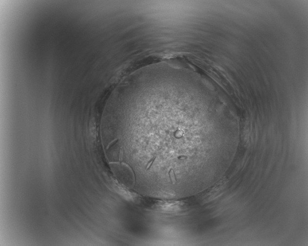 X0000072960569200607282259