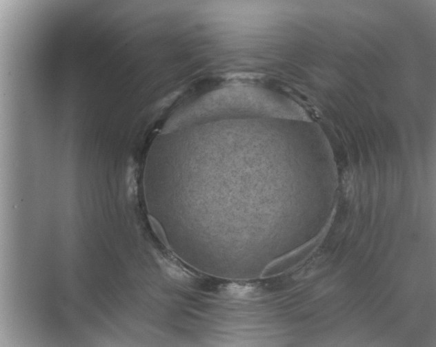 X0000072960570200607282259