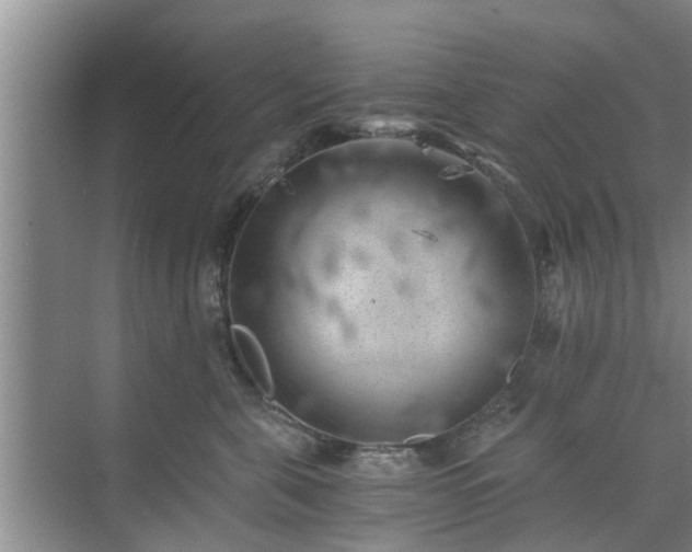 X0000072960571200607282259