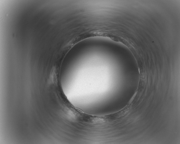 X0000072960572200607282259