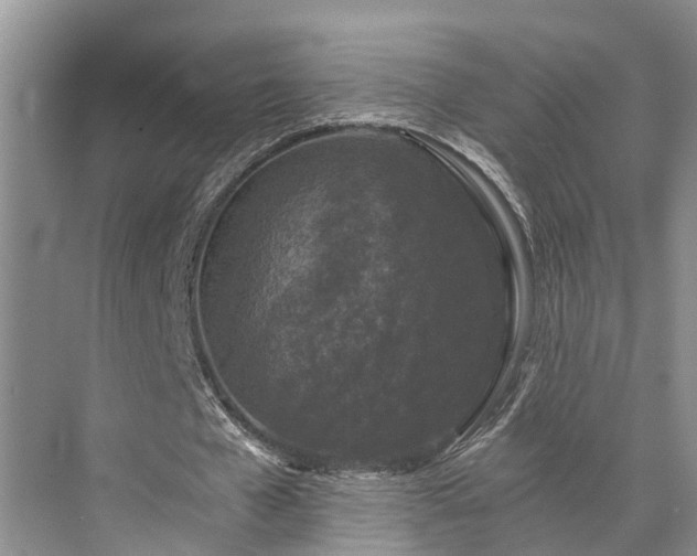 X0000072960577200607282258