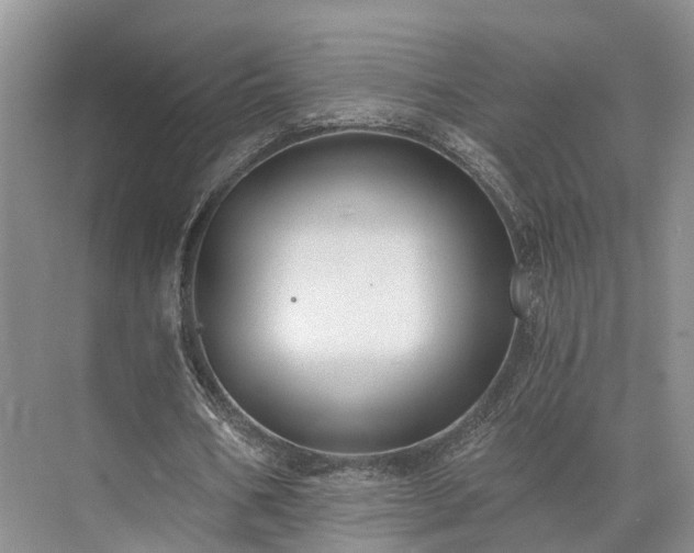 X0000072960578200607282258