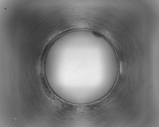 X0000072960579200607282258