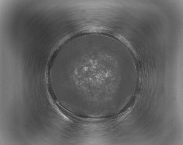 X0000072960581200607282258