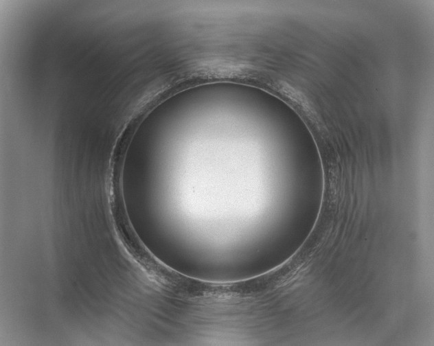 X0000072960582200607282258