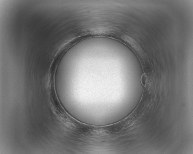 X0000072960583200607282258