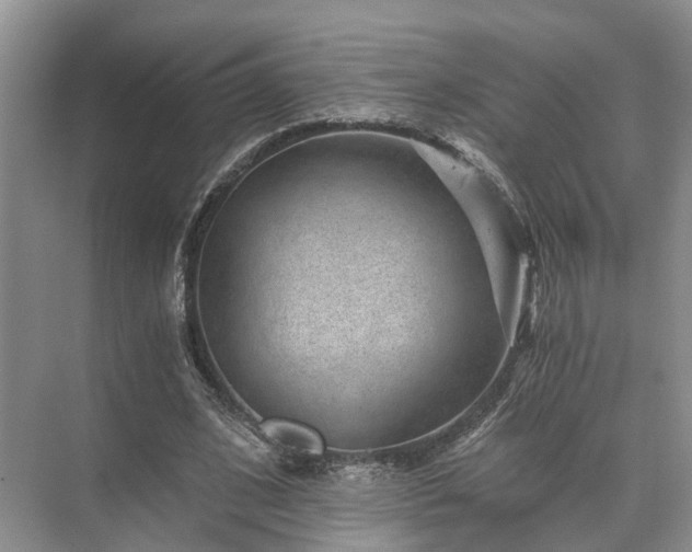 X0000072960584200607282258